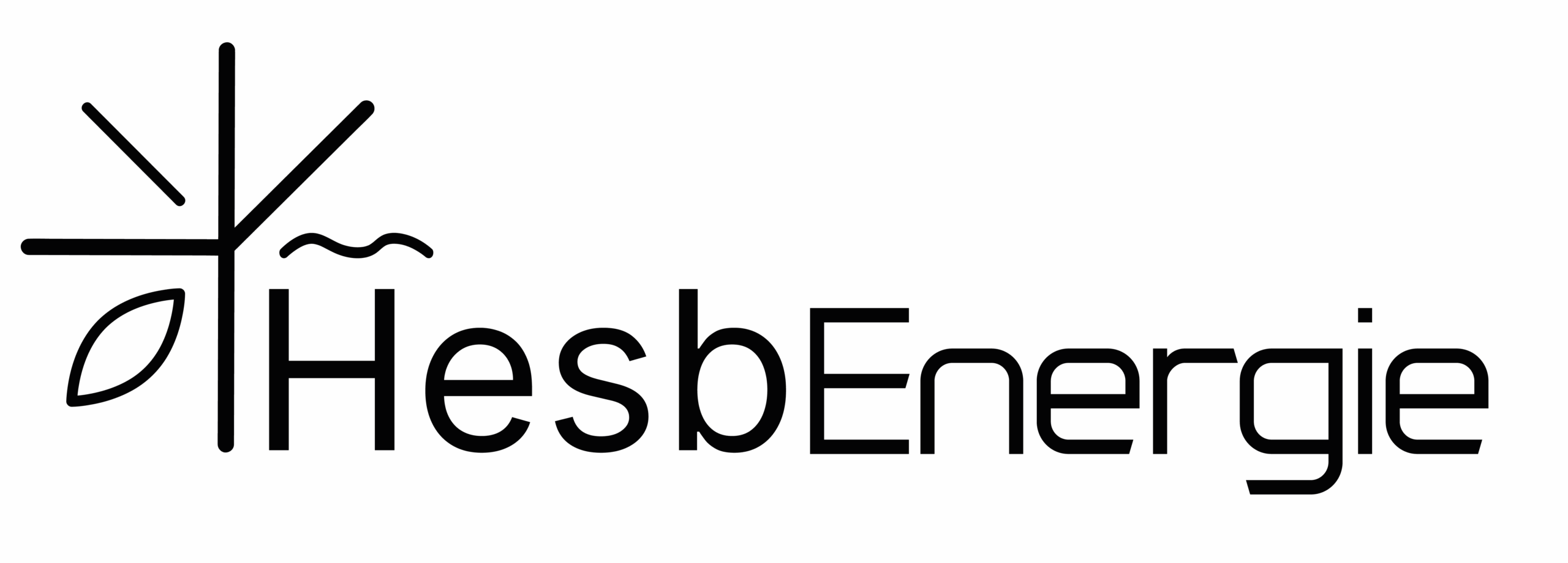 Logo HesbEnergie