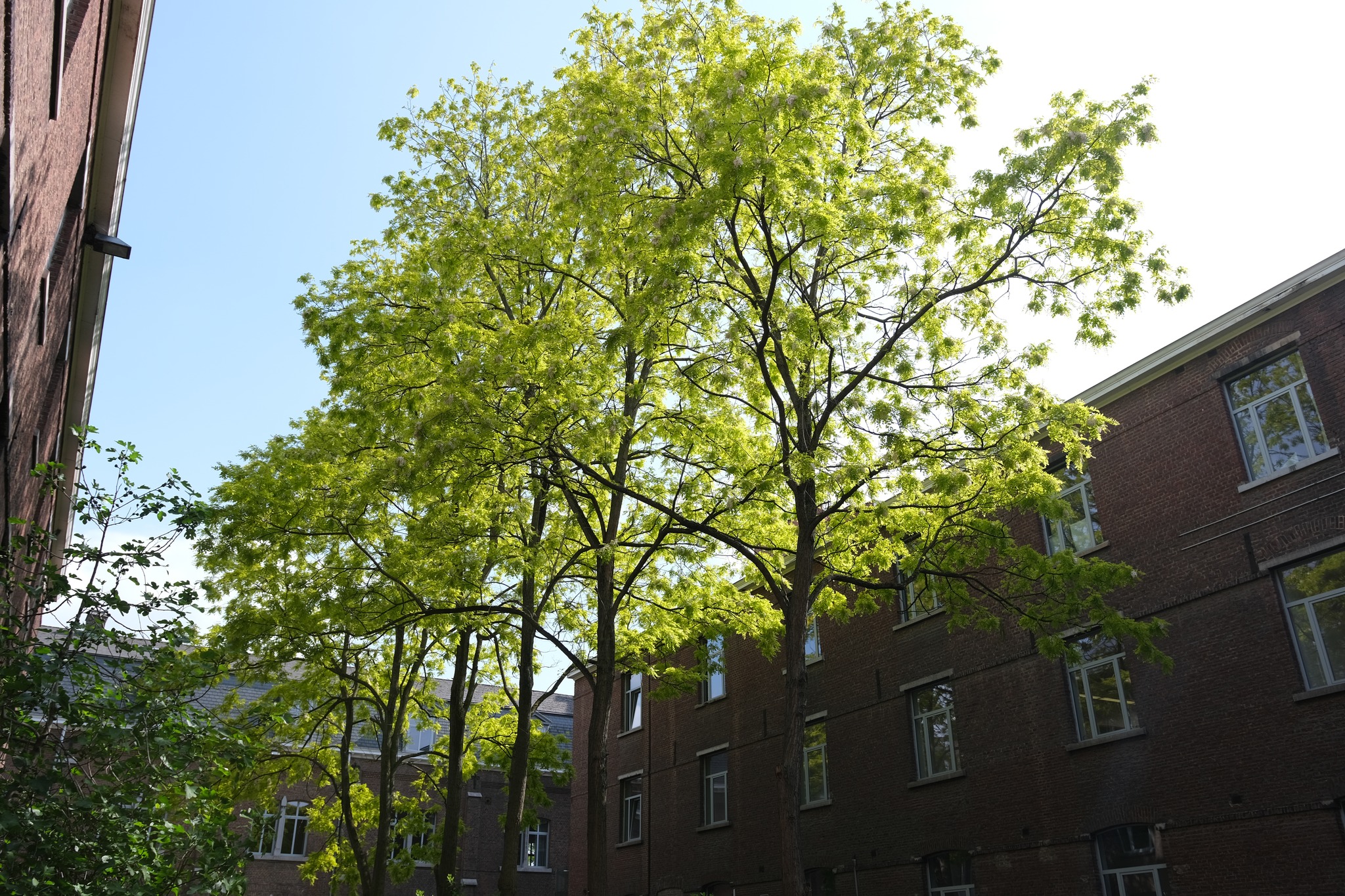 473192030_122130840602562269_6364373668267039007_n