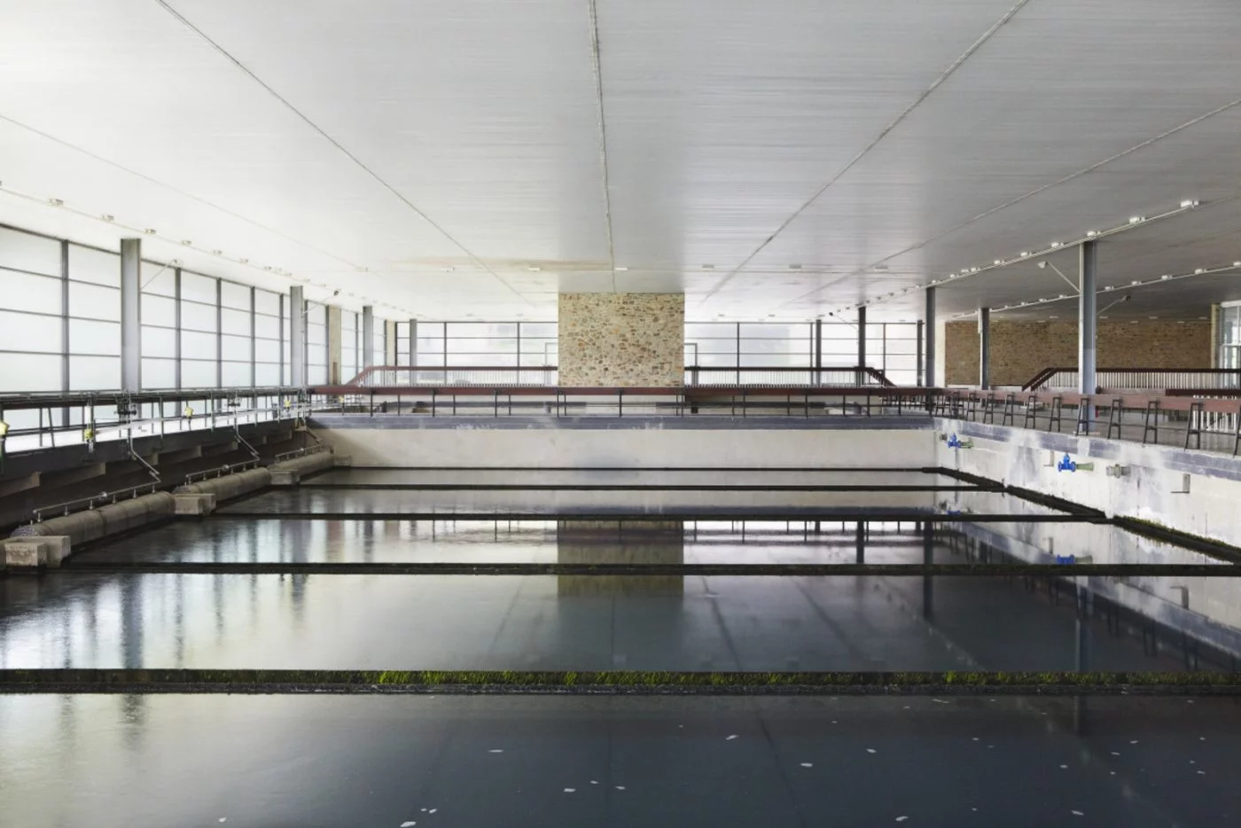 Tailfer_033-1400x934